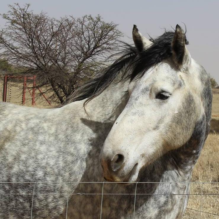 466412210_10228705050154552_6274038491534082097_n